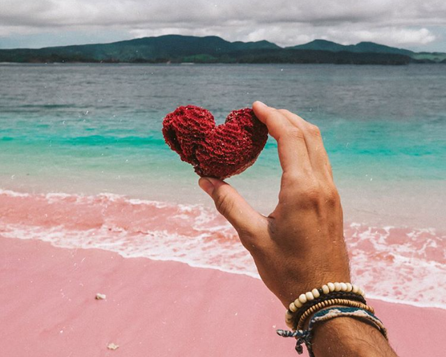 Pink Beach Labuan Bajo: Pantai Pasir Merah Muda